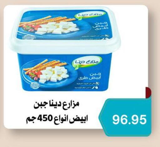 available at Negmet Heliopolis Hyper Gamal Salama in Egypt - Cairo