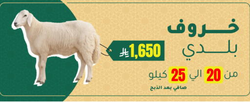 available at الهاجري الأغذية in مملكة العربية السعودية, السعودية, سعودية - أبها