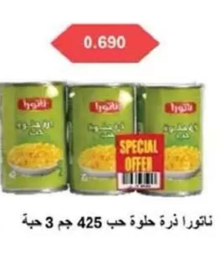 available at جمعية السالمية العاونية in الكويت - مدينة الكويت
