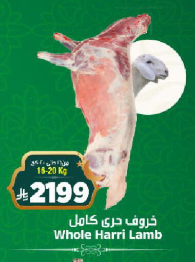 available at المدينة هايبرماركت in مملكة العربية السعودية, السعودية, سعودية - الرياض