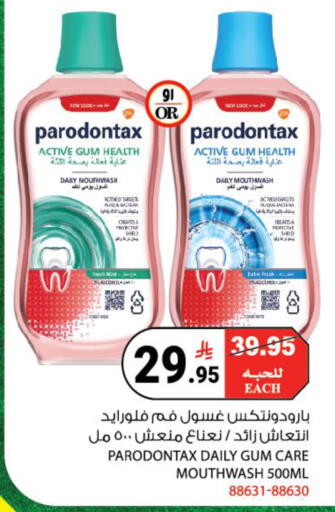 Mint available at هاوس كير in مملكة العربية السعودية, السعودية, سعودية - مكة المكرمة