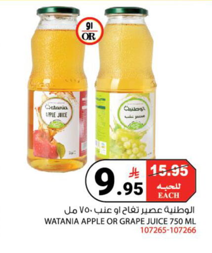 Apple available at هاوس كير in مملكة العربية السعودية, السعودية, سعودية - مكة المكرمة