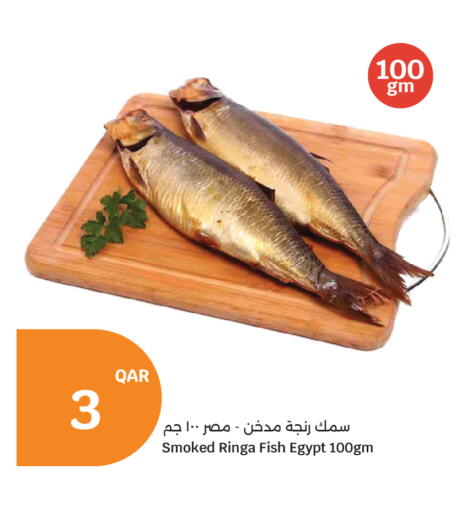 available at سيتي هايبرماركت in قطر - الخور