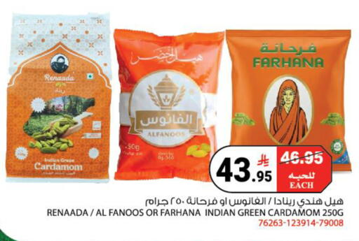 Cardamom available at هاوس كير in مملكة العربية السعودية, السعودية, سعودية - مكة المكرمة