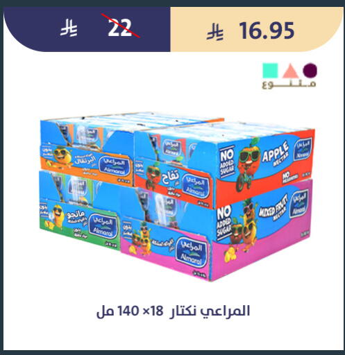 Apple available at Qout Market in KSA, Saudi Arabia, Saudi - Ta'if