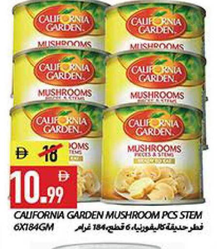 Mushroom available at  روابي ماركت عجمان in الإمارات العربية المتحدة , الامارات - الشارقة / عجمان