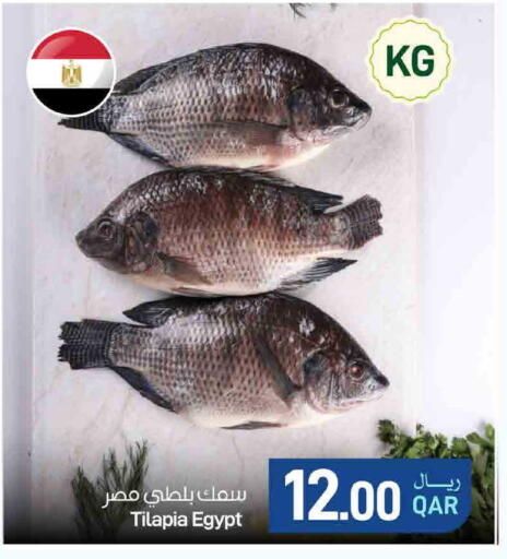 available at ســبــار in قطر - الوكرة