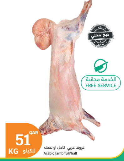 available at سيتي هايبرماركت in قطر - الضعاين