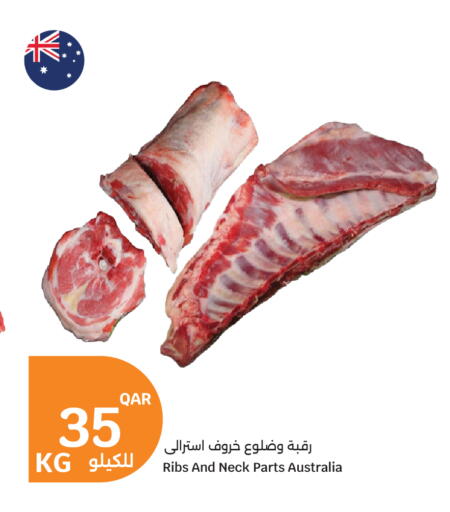 available at سيتي هايبرماركت in قطر - الضعاين