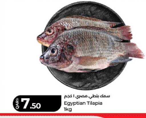 available at لولو هايبرماركت in قطر - الشمال