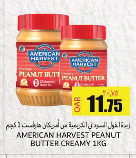 available at Regency Group in Qatar - Doha