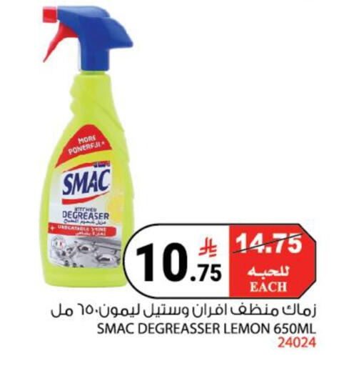 Lemon available at هاوس كير in مملكة العربية السعودية, السعودية, سعودية - مكة المكرمة