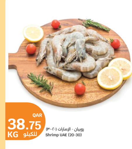 available at سيتي هايبرماركت in قطر - الخور
