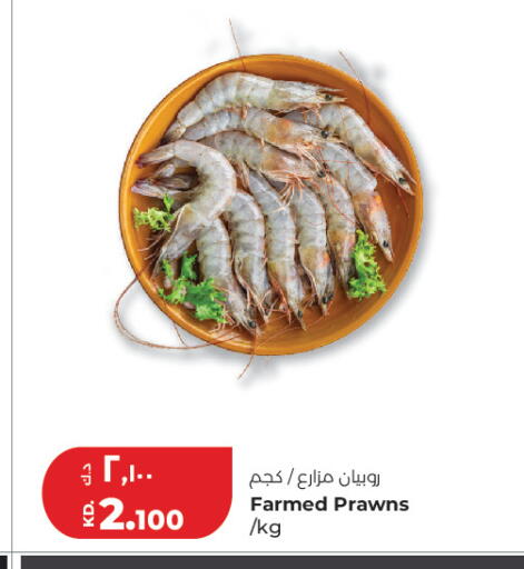 available at Lulu Hypermarket  in Kuwait - Kuwait City