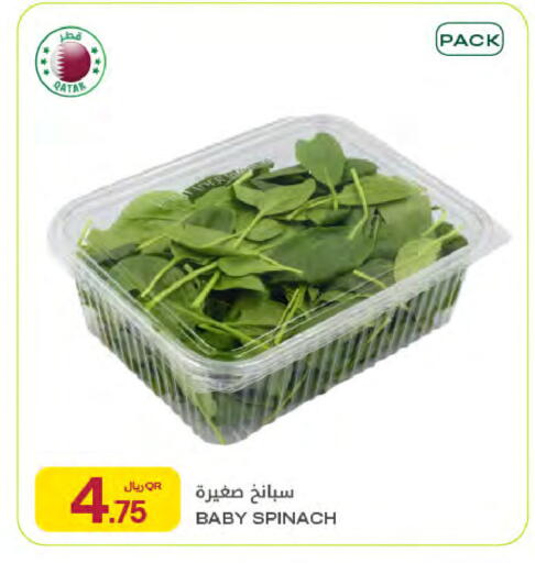 Spinach from Qatar available at شركة الميرة للمواد الاستهلاكية in قطر - الدوحة