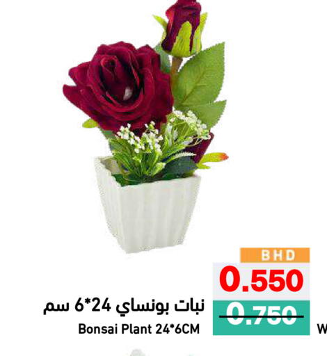 available at رامــز in البحرين