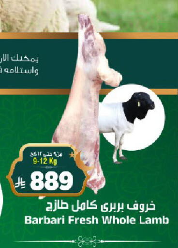 available at المدينة هايبرماركت in مملكة العربية السعودية, السعودية, سعودية - الرياض