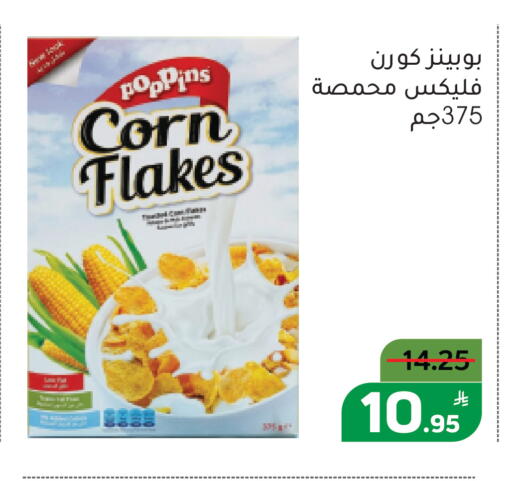 Apple available at Green Apple Market in KSA, Saudi Arabia, Saudi - Al Hasa