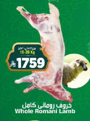 available at المدينة هايبرماركت in مملكة العربية السعودية, السعودية, سعودية - الرياض