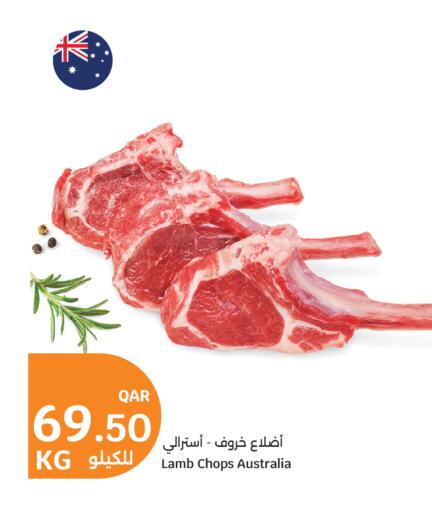 available at سيتي هايبرماركت in قطر - الضعاين