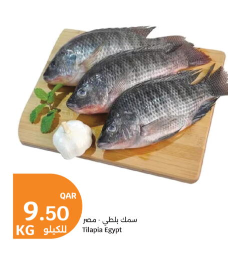 available at سيتي هايبرماركت in قطر - الخور