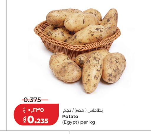 Potato from Egypt available at Lulu Hypermarket  in Kuwait - Ahmadi Governorate