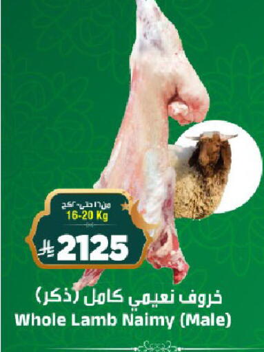 available at المدينة هايبرماركت in مملكة العربية السعودية, السعودية, سعودية - الرياض