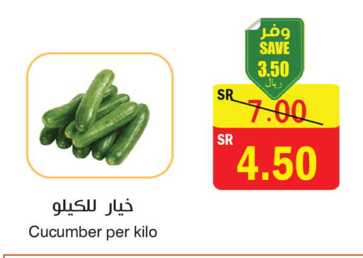 Cucumber available at المركز الأخضر للتسويق in مملكة العربية السعودية, السعودية, سعودية - المنطقة الشرقية