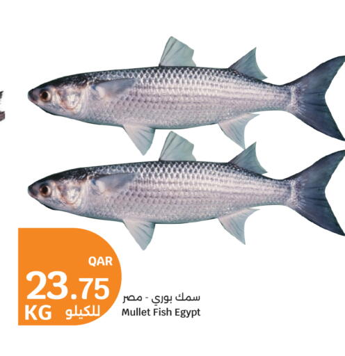 available at سيتي هايبرماركت in قطر - الخور