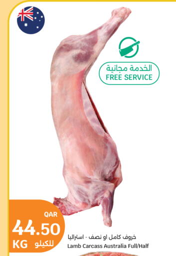 available at سيتي هايبرماركت in قطر - الضعاين