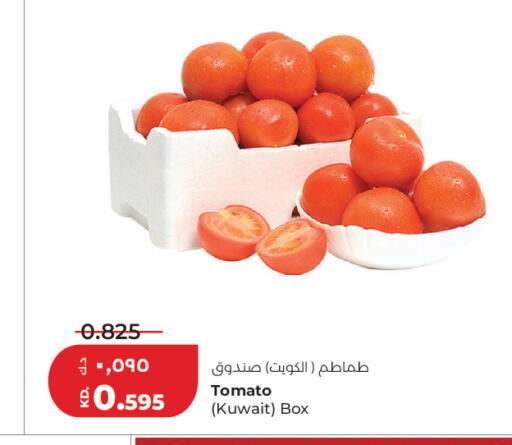 Tomato from Kuwait available at Lulu Hypermarket  in Kuwait - Ahmadi Governorate