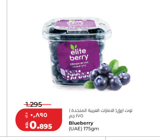 Blueberry BlueBerry available at Lulu Hypermarket  in Kuwait - Ahmadi Governorate