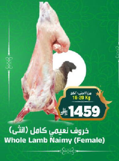 available at المدينة هايبرماركت in مملكة العربية السعودية, السعودية, سعودية - الرياض