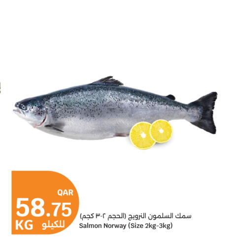 available at سيتي هايبرماركت in قطر - الخور