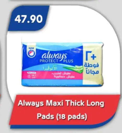 available at Bassem Market in Egypt - Cairo