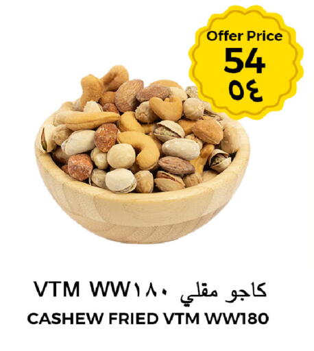 available at Risala Zahabiya Trading Co. in KSA, Saudi Arabia, Saudi - Al Hasa