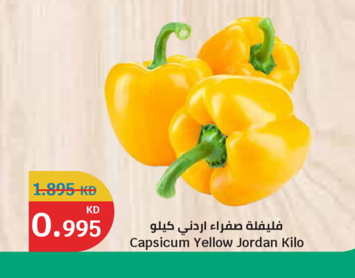 Capsicum from Jordan available at City Hypermarket in Kuwait - Ahmadi Governorate