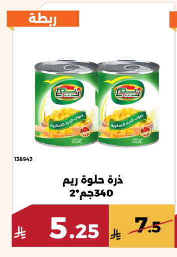 available at حدائق الفرات in مملكة العربية السعودية, السعودية, سعودية - مكة المكرمة