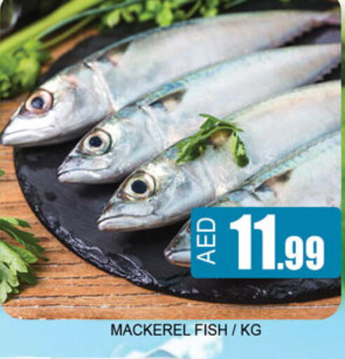 available at لكي سنتر in الإمارات العربية المتحدة , الامارات - الشارقة / عجمان