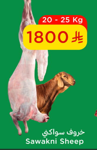 available at وهج مارت in مملكة العربية السعودية, السعودية, سعودية - جدة