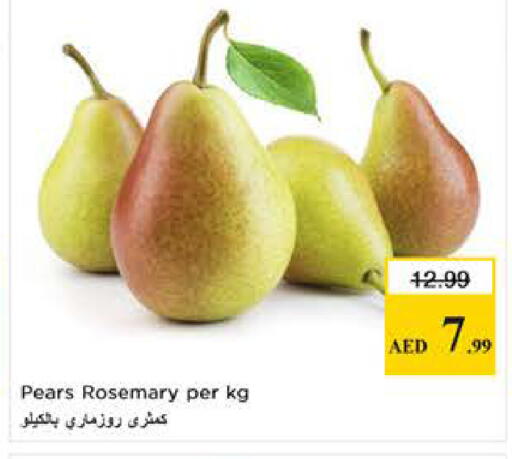 Rosemary available at لاست تشانس in الإمارات العربية المتحدة , الامارات - ٱلْفُجَيْرَة‎