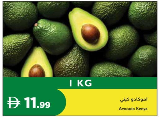Avocado from Kenya available at إسطنبول سوبرماركت in الإمارات العربية المتحدة , الامارات - ٱلْعَيْن‎