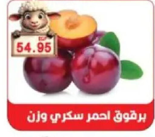 available at Sarhan Market in Egypt - Cairo