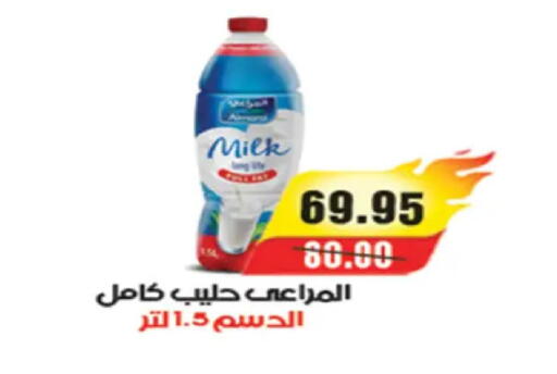 available at A Market in Egypt - Cairo