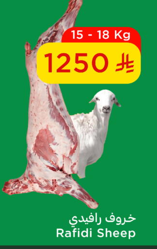 available at وهج مارت in مملكة العربية السعودية, السعودية, سعودية - جدة