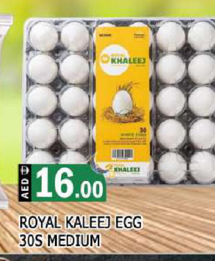 available at المدينة in الإمارات العربية المتحدة , الامارات - الشارقة / عجمان