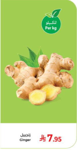 Ginger available at Kabayan Hypermarket in KSA, Saudi Arabia, Saudi - Yanbu