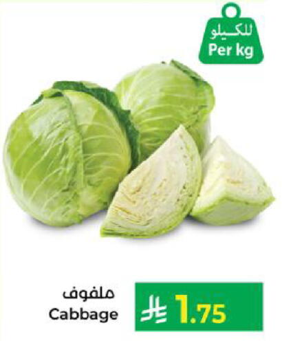 Cabbage available at Kabayan Hypermarket in KSA, Saudi Arabia, Saudi - Yanbu