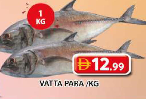 available at Grand Hyper Market in UAE - Sharjah / Ajman