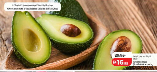 Avocado from South Africa available at لولو هايبرماركت in الإمارات العربية المتحدة , الامارات - أم القيوين‎